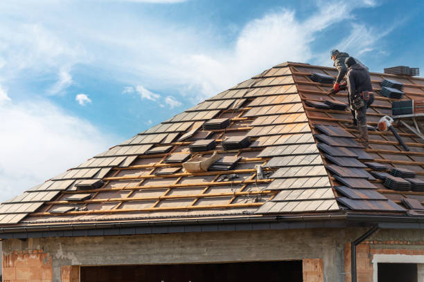 Best Metal Roofing Installation  in New Prague, MN