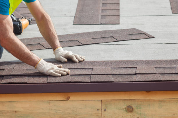 Best Roof Coating and Sealing  in New Prague, MN